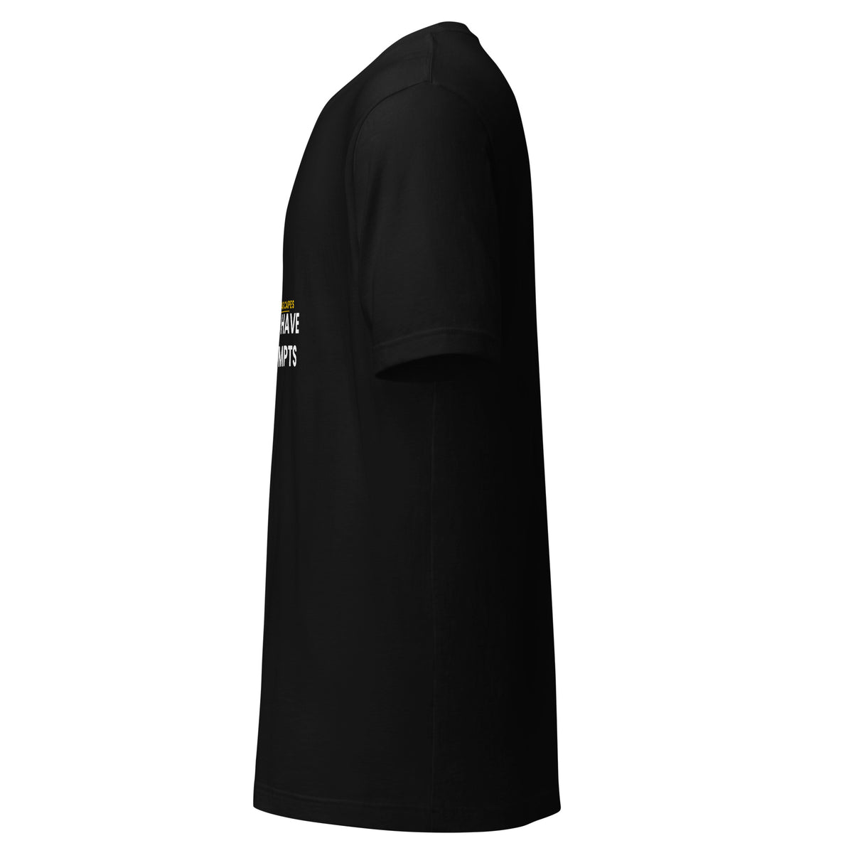 "Not All Heroes Wear Capes" funny AI t-shirt in black, left side view