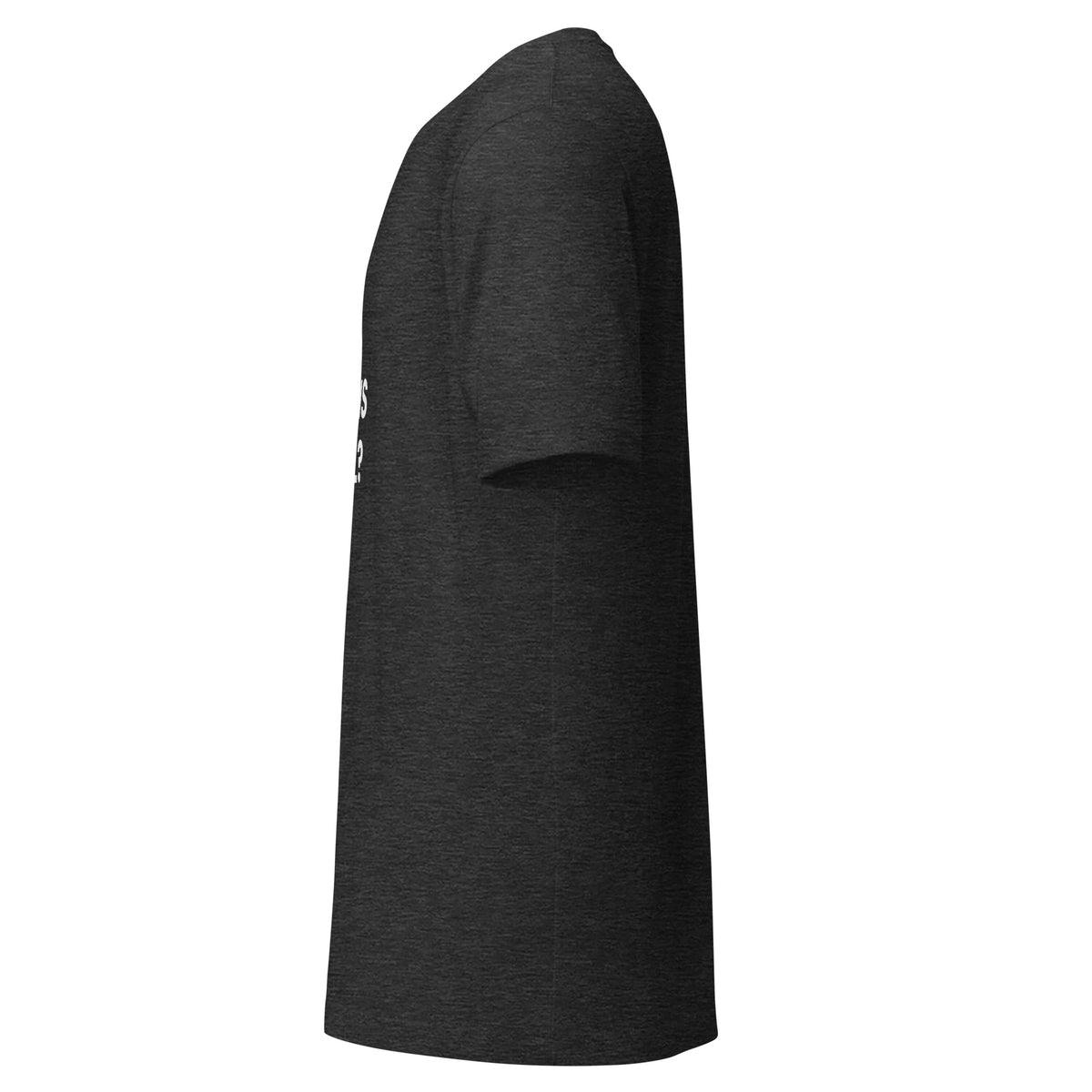"Chat, Is This Real?" funny AI t-shirt in dark grey heather, left side view
